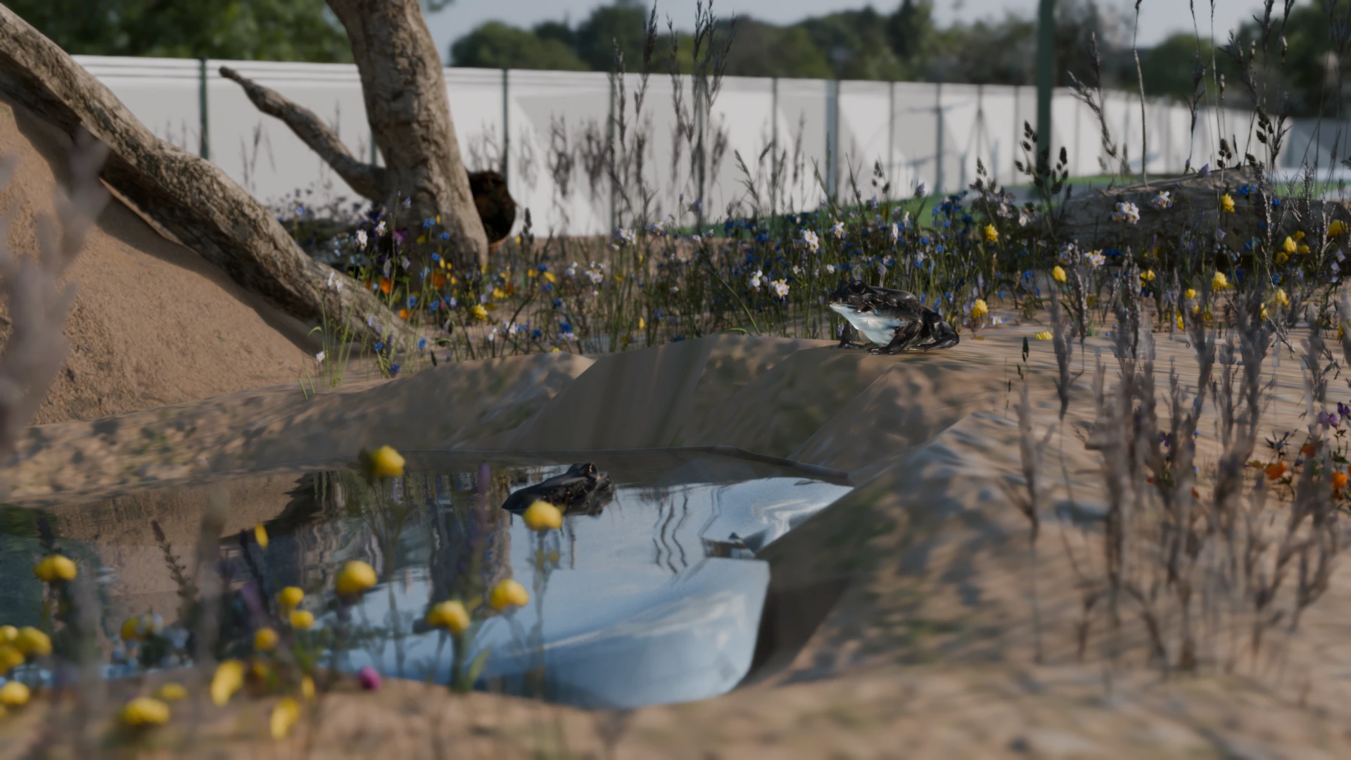 E.ONxWestnetz_XR-VR_Mikrohabitat